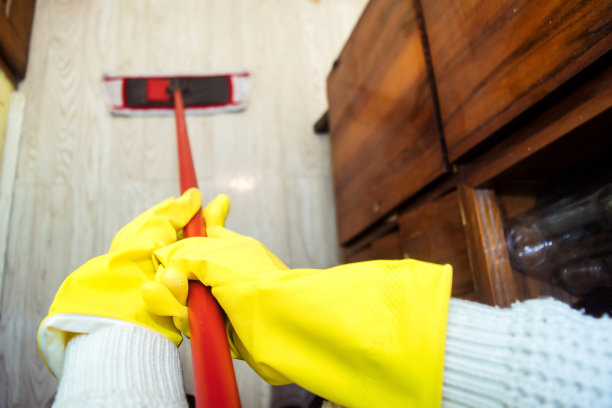 清洁拼花地板库存照片图片下载