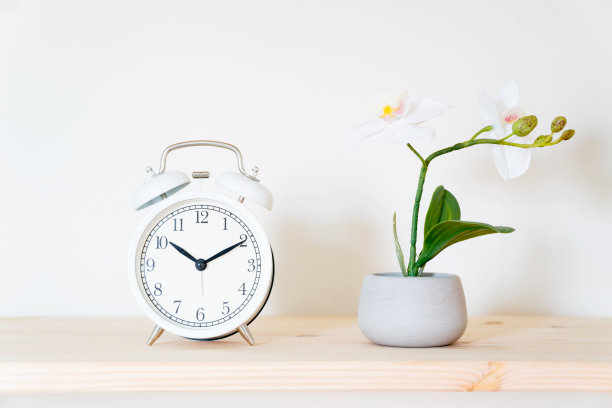 闹钟和花盆的白色背景。前视图。本空间图片下载