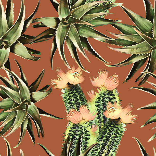 仙人掌和芦荟，无缝图案。图片下载