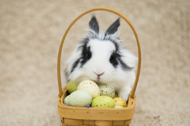 他最喜欢的关于复活节的部分图片下载