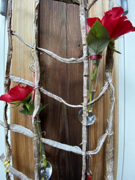 两朵玫瑰图片下载