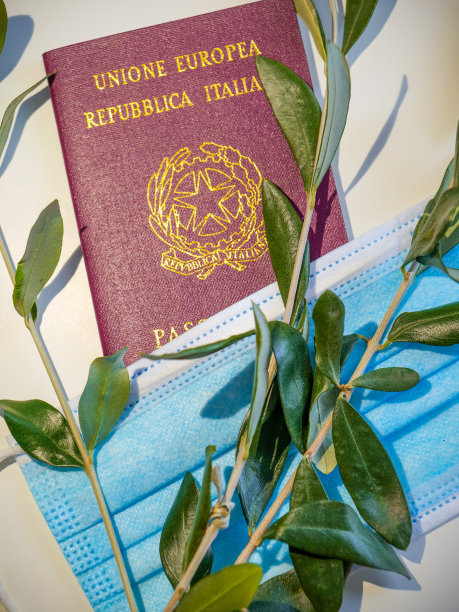 一个外科口罩和一些带意大利护照的橄榄枝图片下载
