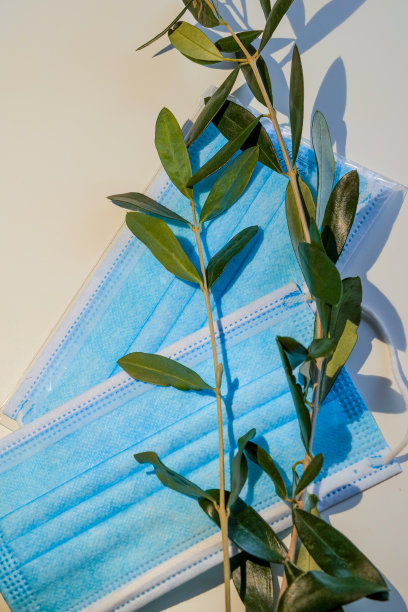 一个外科口罩和一些橄榄枝图片下载