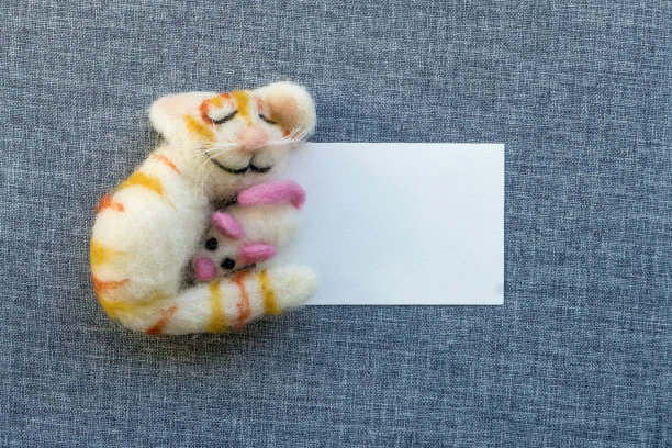 快乐的公猫抱着一只老鼠图片下载