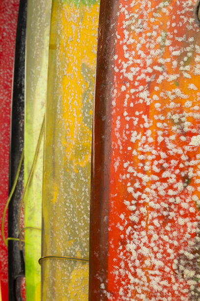 巴厘岛美丽多彩的冲浪板。图片下载