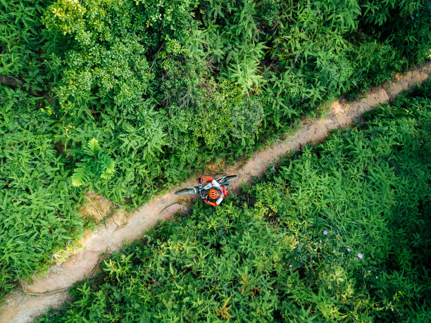 航拍：女子骑山地车穿行于热带森林图片下载