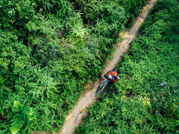 航拍：女子骑山地车穿行于热带森林图片下载
