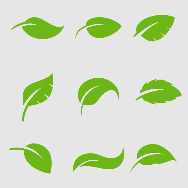 叶图标矢量插图设计模板图片下载