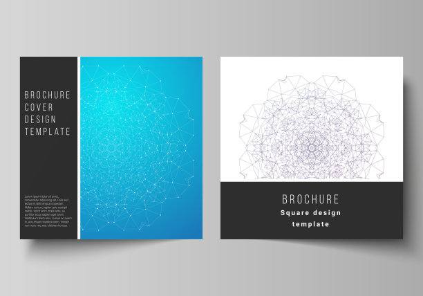 最小矢量插图布局的两方格式封面设计模板的小册子，传单，杂志。大数据可视化，几何通信背景与连接线和点。图片下载