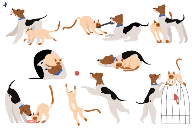 可爱的触摸时刻友谊狗和猫扁平卡通矢量插图字符集图片下载