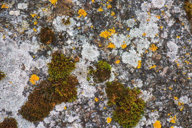 岩石的模式图片下载