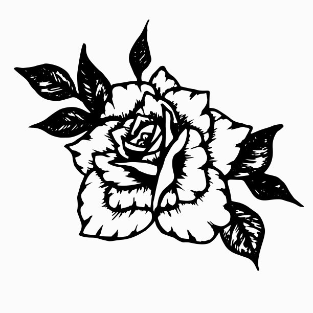 手绘黑色墨水玫瑰与树叶。图片下载