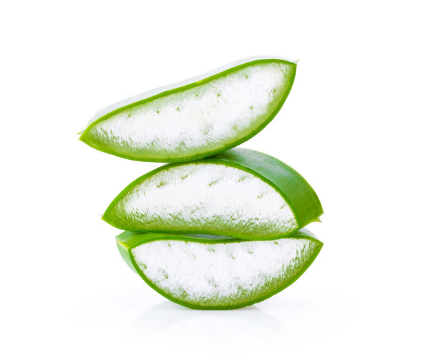 在白色背景上剪下芦荟叶图片下载