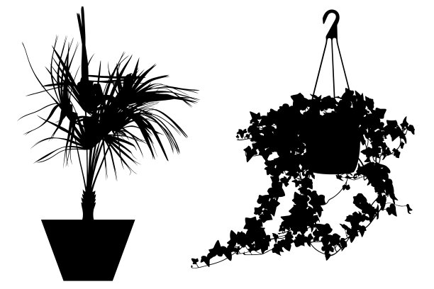 不同的花在花盆的插图图片下载