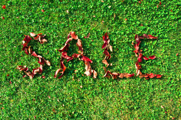 秋季销售海报图片下载