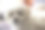 狗素材图片