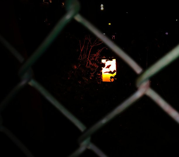 篱笆后面的路边有橙色的路灯，晚上有绿树。图片下载