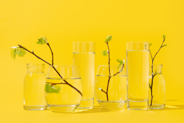 春天新鲜的绿桦树枝头通过液态水的黄色。地球日素材图片