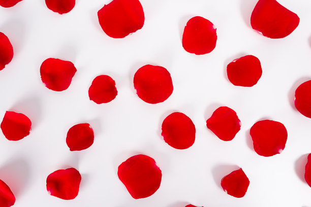 情人节红玫瑰花瓣背景。图片下载
