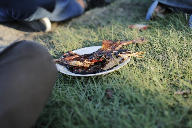 烤鸡放在一个白色的盘子上图片下载