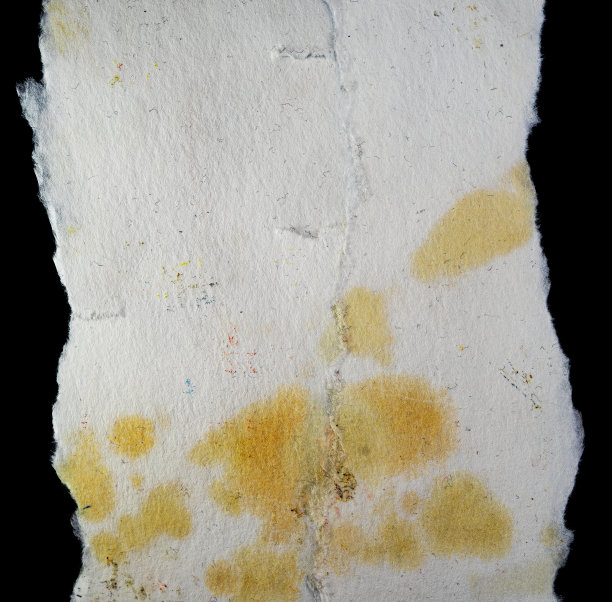 酷的微距照片单纸条与撕裂的边缘孤立在黑色的背景图片下载