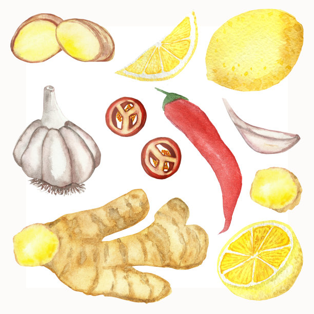 水彩手绘自然健康草药组成与白色大蒜，生姜，红辣椒，黄柠檬香料孤立在白色的背景集合为设计元素图片下载