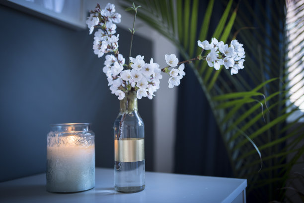 静物图片素材ID：354394524