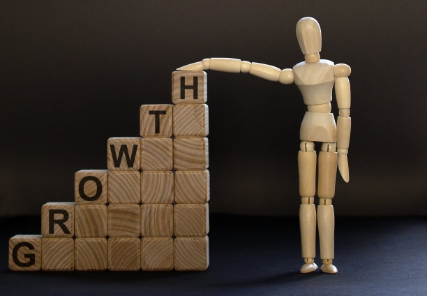 木梯由刻有“成长”字样的木方块制作而成，靠近人体模型图片下载