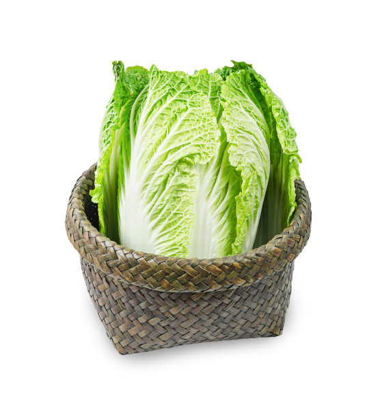 篮白菜图片下载