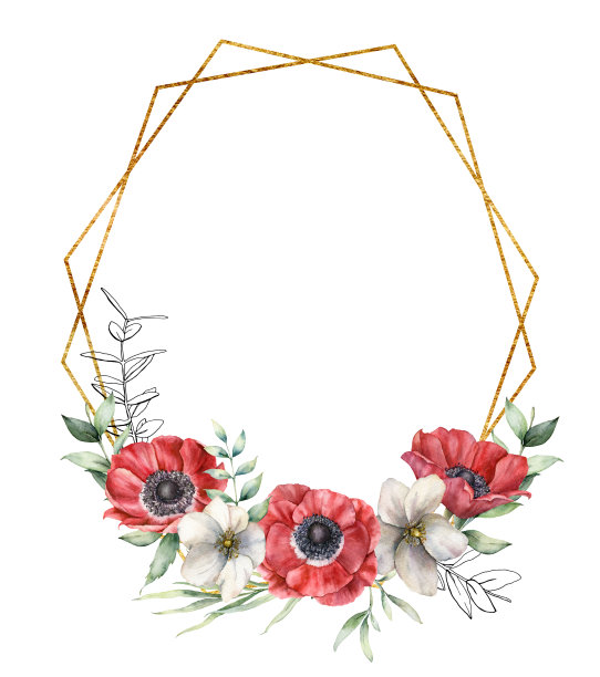 水彩金色多边形框架与红色和白色的海葵。手工绘制的节日花和叶子孤立在白色的背景。春季插图设计，印刷，织物或背景。图片下载