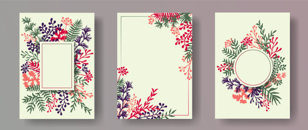 手绘草本小枝、树枝、树叶等花卉请帖收集。草本框架现代卡片设计蒲公英花，蕨类植物，槲寄生，橄榄树叶，美味的小树枝。图片下载