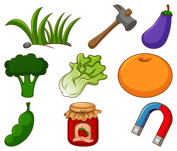 白色背景上的大组不同的食物和其他物品图片下载