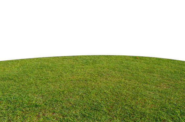绿色草地孤立在白色背景与修剪路径。图片下载
