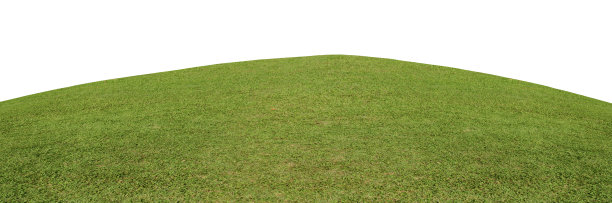 绿色草地孤立在白色背景与修剪路径。图片下载