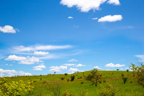 马达加斯加的风景图片，有山脉和草地图片下载