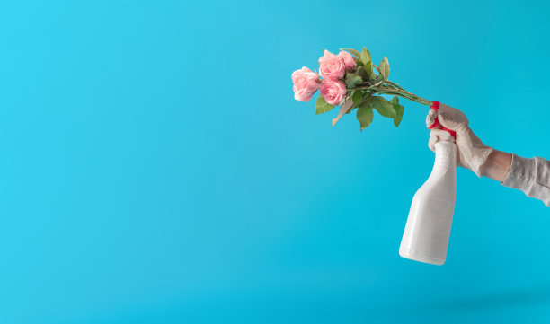 创造性的无菌观念。新型冠状病毒(COVID-19)或2019-ncov感染(新型冠状病毒病)的启示。图片下载