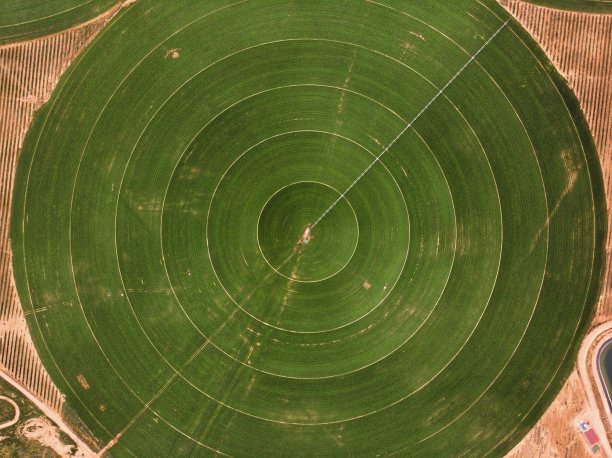 割字段图片下载