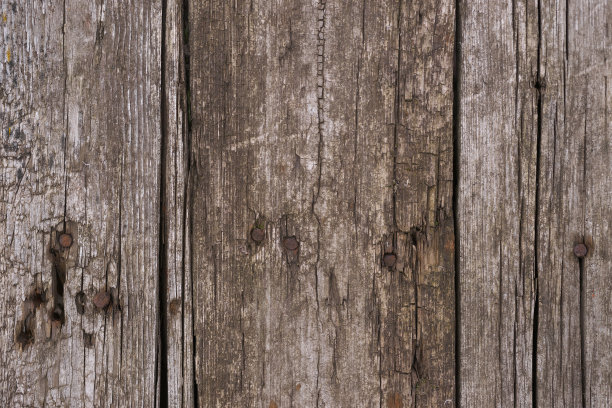 老木纹表面特写。表面有苔藓和浮雕。老木板的旧木纹和苔藓的库存照片。照片上的棕色和灰色。图片下载