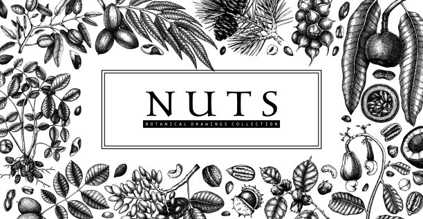 手绘螺母横幅设计。素材图片