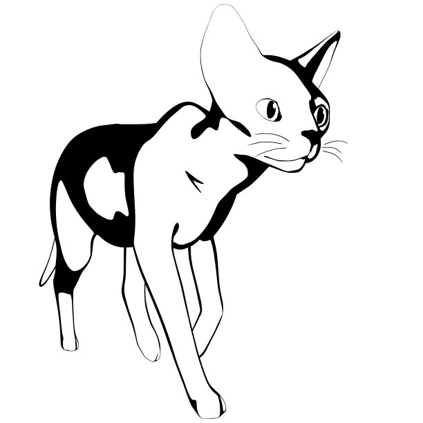 白色背景上的猫素描。Sphynx轮廓矢量图片下载