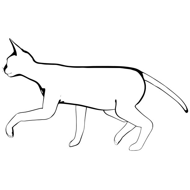 白色背景上的猫素描。Sphynx轮廓矢量图片下载