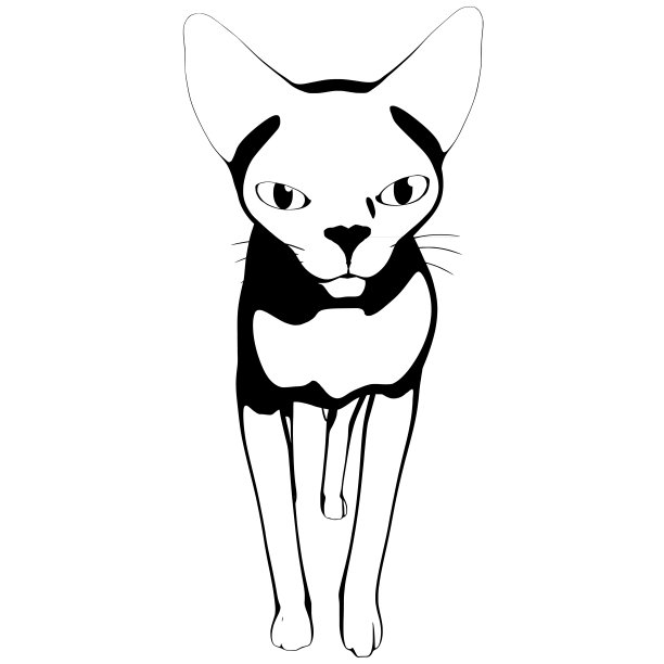 白色背景上的猫素描。Sphynx轮廓矢量图片下载