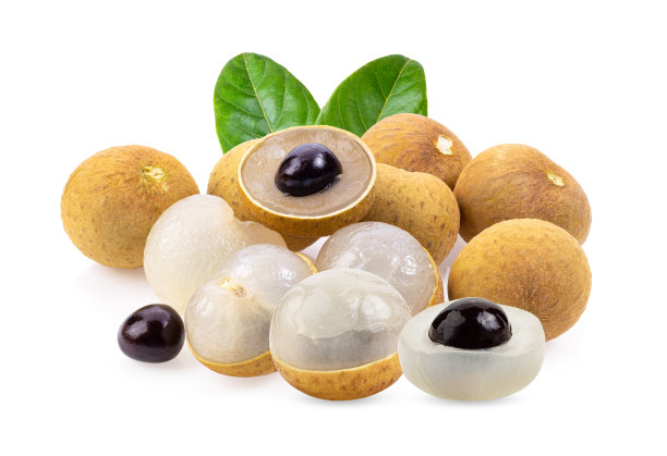 龙眼具叶孤立在白色上图片下载