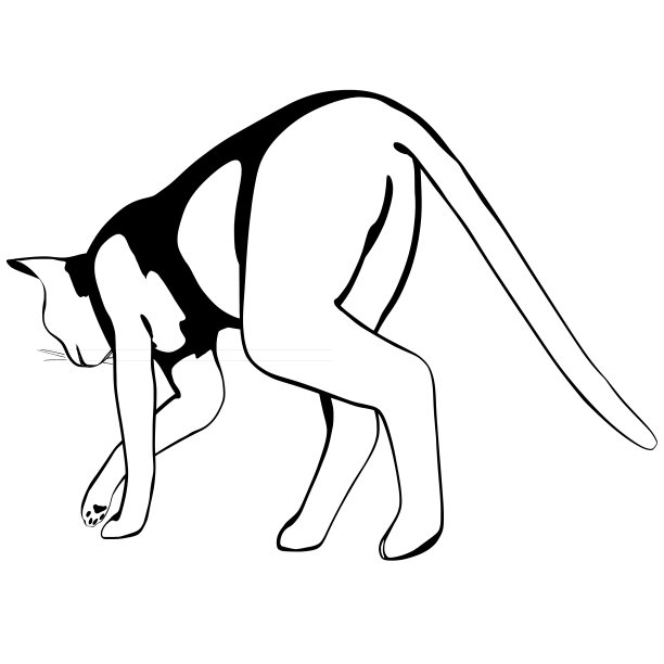 白色背景上的猫素描。Sphynx轮廓矢量图片下载