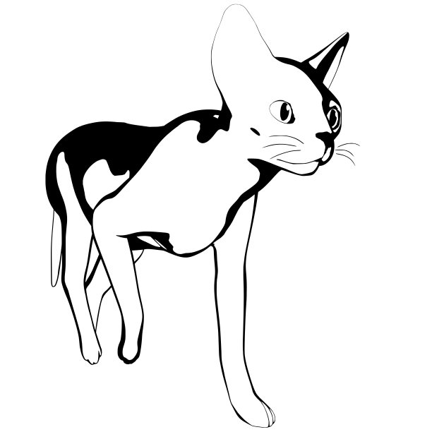 白色背景上的猫素描。Sphynx轮廓矢量图片下载