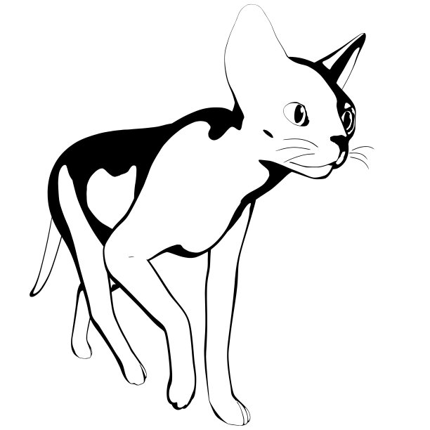 白色背景上的猫素描。Sphynx轮廓矢量图片下载