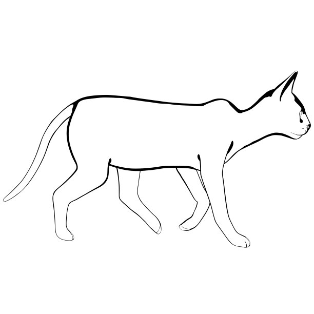 白色背景上的猫素描。Sphynx轮廓矢量图片下载