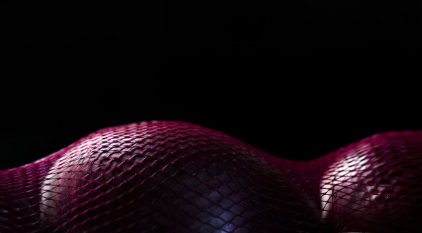 把洋葱装在网袋里做成女性的样子图片下载