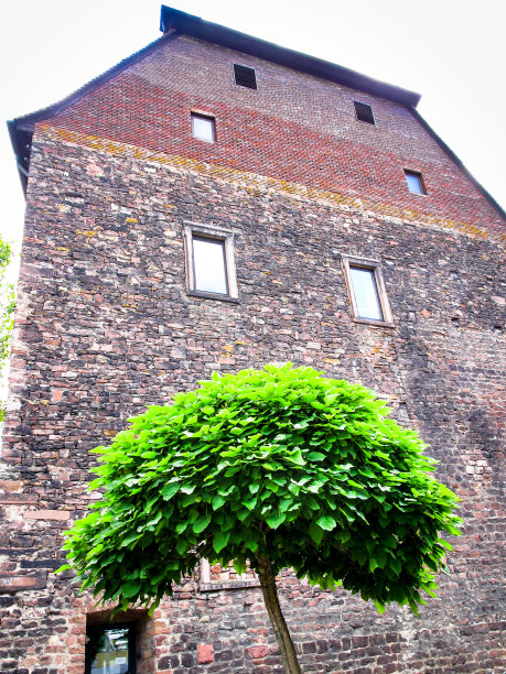 旧和新图片下载