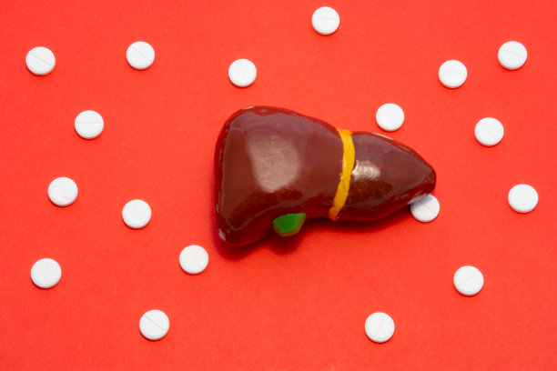 以人体或动物肝脏为解剖体或模型，以红色为背景，四周为白色药片或药丸，以圆点装饰排列。用于医学和肝病的照片图片下载